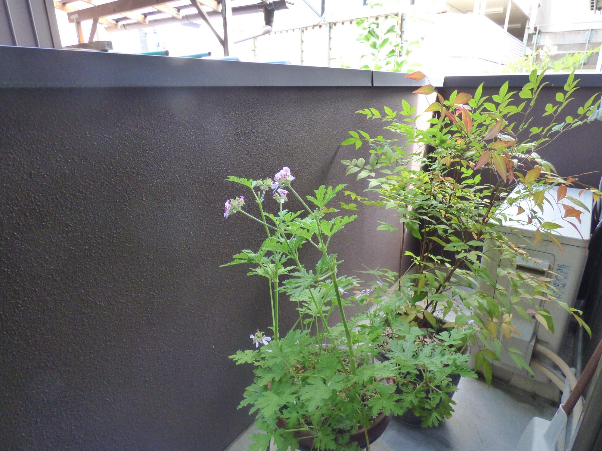 Guesthouse Hyakumanben Cross Kyoto Exterior photo