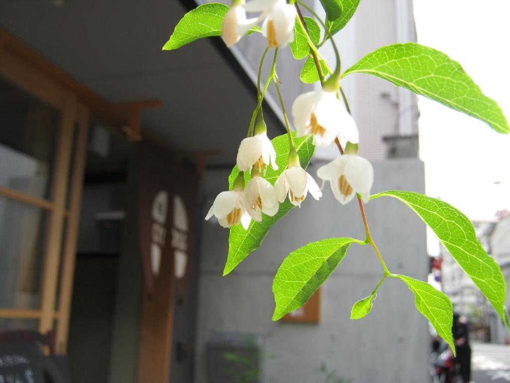 Guesthouse Hyakumanben Cross Kyoto Exterior photo